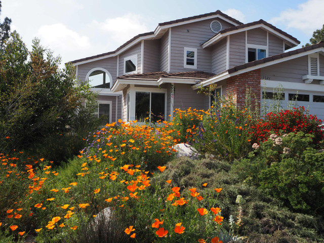 Stroll through 5 inspiring California native plant gardens